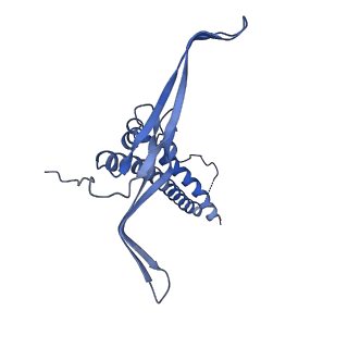 22068_6x62_FC_v1-2
Legionella pneumophila Dot T4SS OMC