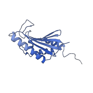 22068_6x62_FK_v1-2
Legionella pneumophila Dot T4SS OMC