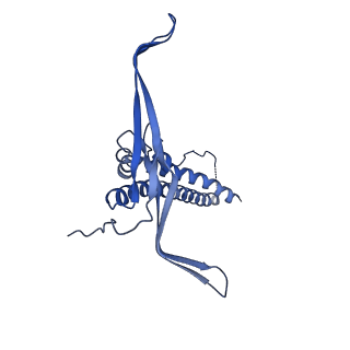 22068_6x62_GC_v1-1
Legionella pneumophila Dot T4SS OMC