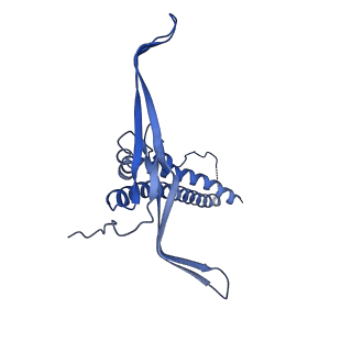 22068_6x62_GC_v1-2
Legionella pneumophila Dot T4SS OMC