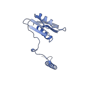 22068_6x62_GD_v1-2
Legionella pneumophila Dot T4SS OMC