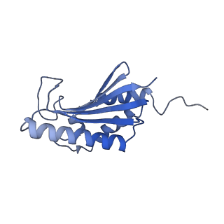 22068_6x62_GK_v1-2
Legionella pneumophila Dot T4SS OMC