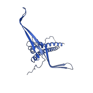 22068_6x62_HC_v1-2
Legionella pneumophila Dot T4SS OMC