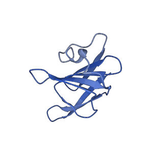 22068_6x62_HH_v1-2
Legionella pneumophila Dot T4SS OMC