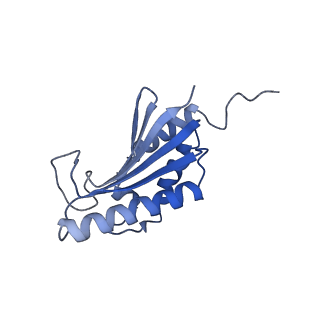 22068_6x62_HK_v1-2
Legionella pneumophila Dot T4SS OMC