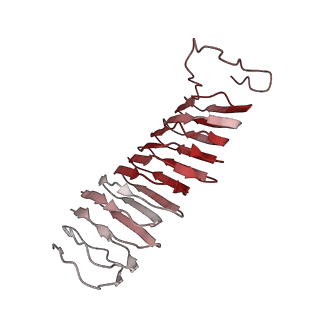 22068_6x62_HX_v1-2
Legionella pneumophila Dot T4SS OMC