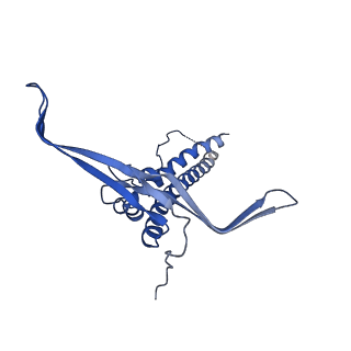 22068_6x62_IC_v1-2
Legionella pneumophila Dot T4SS OMC