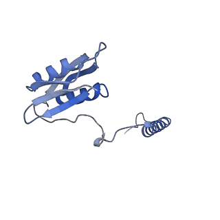 22068_6x62_ID_v1-2
Legionella pneumophila Dot T4SS OMC