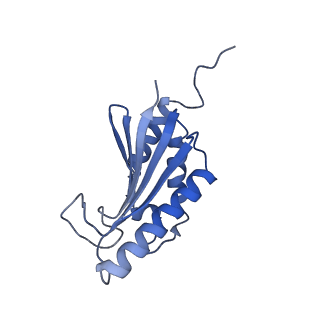 22068_6x62_IK_v1-2
Legionella pneumophila Dot T4SS OMC