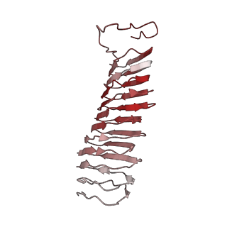 22068_6x62_IX_v1-2
Legionella pneumophila Dot T4SS OMC