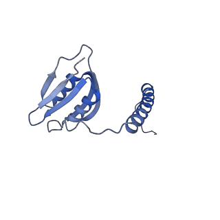 22068_6x62_Id_v1-2
Legionella pneumophila Dot T4SS OMC