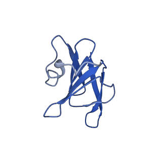 22068_6x62_JH_v1-2
Legionella pneumophila Dot T4SS OMC