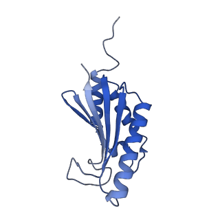 22068_6x62_JK_v1-2
Legionella pneumophila Dot T4SS OMC