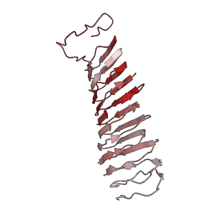 22068_6x62_JX_v1-2
Legionella pneumophila Dot T4SS OMC