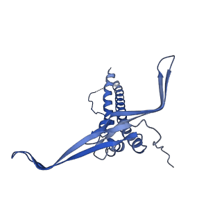 22068_6x62_KC_v1-2
Legionella pneumophila Dot T4SS OMC