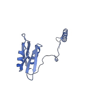 22068_6x62_KD_v1-2
Legionella pneumophila Dot T4SS OMC