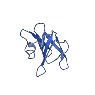 22068_6x62_KH_v1-2
Legionella pneumophila Dot T4SS OMC