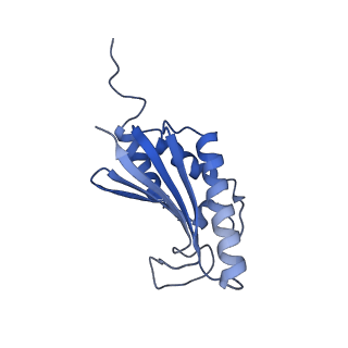 22068_6x62_KK_v1-2
Legionella pneumophila Dot T4SS OMC