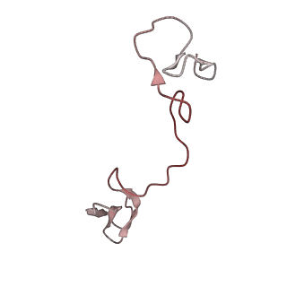 22068_6x62_KZ_v1-2
Legionella pneumophila Dot T4SS OMC