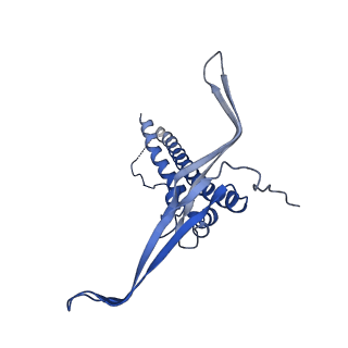 22068_6x62_LC_v1-2
Legionella pneumophila Dot T4SS OMC