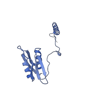 22068_6x62_LD_v1-2
Legionella pneumophila Dot T4SS OMC