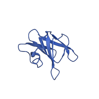 22068_6x62_LH_v1-2
Legionella pneumophila Dot T4SS OMC