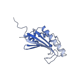 22068_6x62_LK_v1-2
Legionella pneumophila Dot T4SS OMC