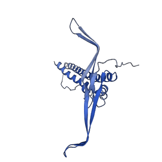 22068_6x62_MC_v1-2
Legionella pneumophila Dot T4SS OMC