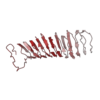 22068_6x62_MX_v1-2
Legionella pneumophila Dot T4SS OMC