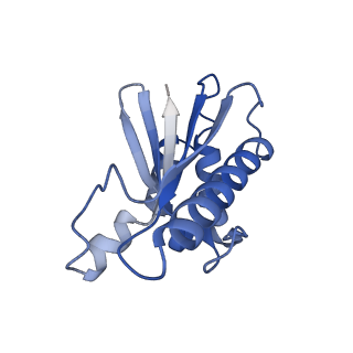 22068_6x62_O_v1-2
Legionella pneumophila Dot T4SS OMC