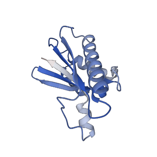 22068_6x62_Q_v1-2
Legionella pneumophila Dot T4SS OMC