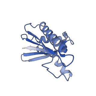 22068_6x62_R_v1-2
Legionella pneumophila Dot T4SS OMC