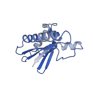 22068_6x62_T_v1-2
Legionella pneumophila Dot T4SS OMC