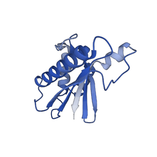 22068_6x62_U_v1-2
Legionella pneumophila Dot T4SS OMC