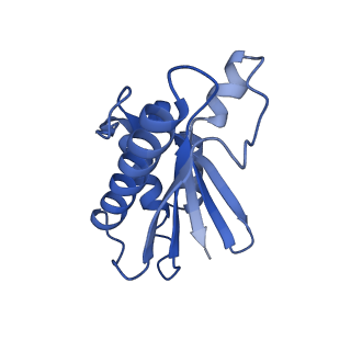 22068_6x62_V_v1-2
Legionella pneumophila Dot T4SS OMC