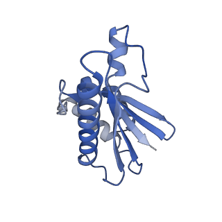 22068_6x62_W_v1-2
Legionella pneumophila Dot T4SS OMC