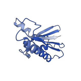 22068_6x62_Y_v1-2
Legionella pneumophila Dot T4SS OMC