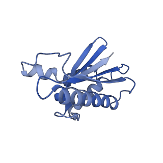 22068_6x62_Z_v1-2
Legionella pneumophila Dot T4SS OMC