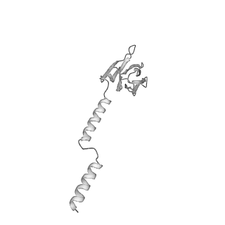 22069_6x64_FV_v1-1
Legionella pneumophila Dot T4SS PR