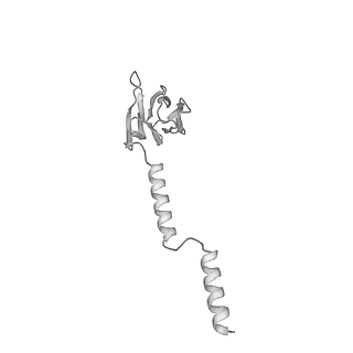 22069_6x64_HV_v1-1
Legionella pneumophila Dot T4SS PR