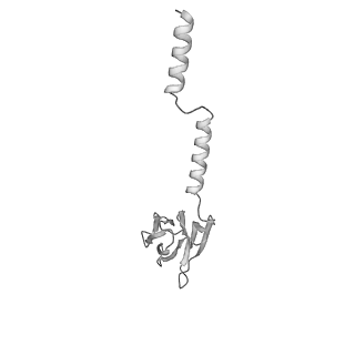 22069_6x64_PV_v1-1
Legionella pneumophila Dot T4SS PR