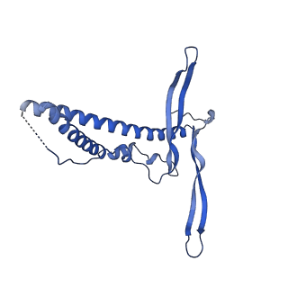 22070_6x65_AC_v1-1
Legionella pneumophila Dot/Icm T4SS