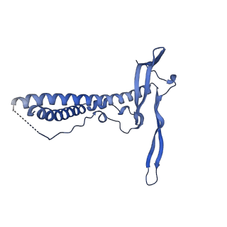 22070_6x65_BC_v1-1
Legionella pneumophila Dot/Icm T4SS