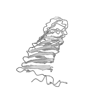 22070_6x65_BX_v1-1
Legionella pneumophila Dot/Icm T4SS