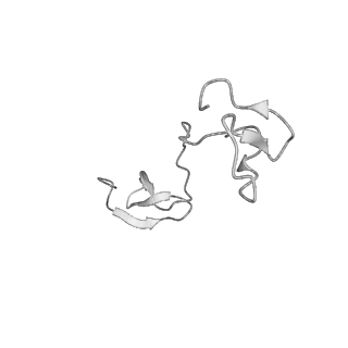 22070_6x65_BZ_v1-1
Legionella pneumophila Dot/Icm T4SS