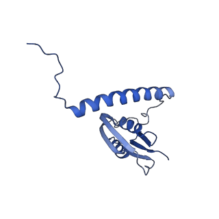 22070_6x65_Bd_v1-1
Legionella pneumophila Dot/Icm T4SS