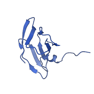 22070_6x65_CH_v1-1
Legionella pneumophila Dot/Icm T4SS