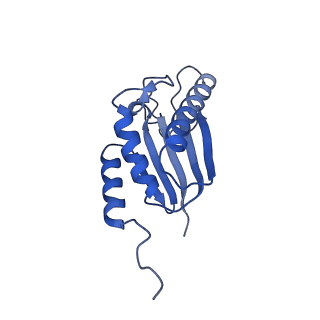 22070_6x65_CK_v1-1
Legionella pneumophila Dot/Icm T4SS