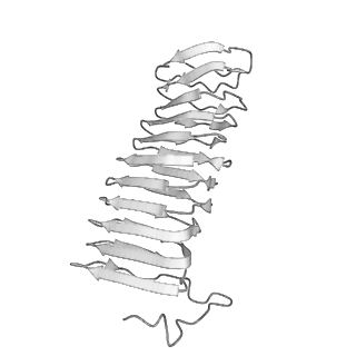 22070_6x65_CX_v1-1
Legionella pneumophila Dot/Icm T4SS