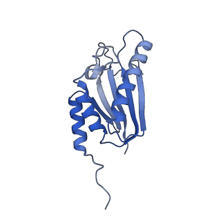 22070_6x65_DK_v1-1
Legionella pneumophila Dot/Icm T4SS